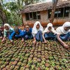 Girls plant seeds in Lushoto, Tanzania.