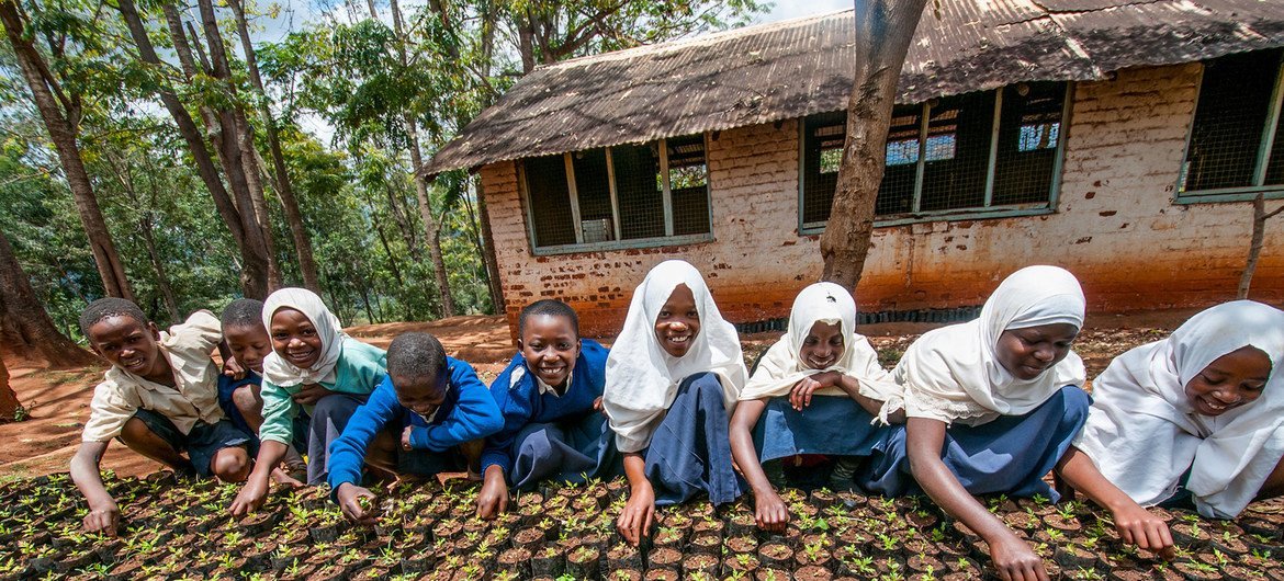 Girls plant seeds in Lushoto, Tanzania. Girls plant seeds in Lushoto, Tanzania.