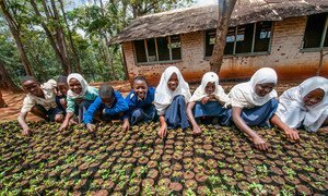 Girls plant seeds in Lushoto, Tanzania.