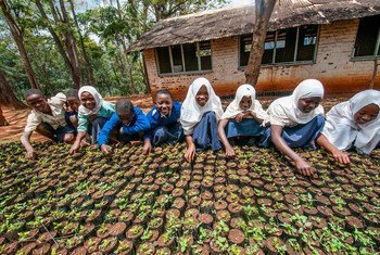 Girls plant seeds in Lushoto, Tanzania.