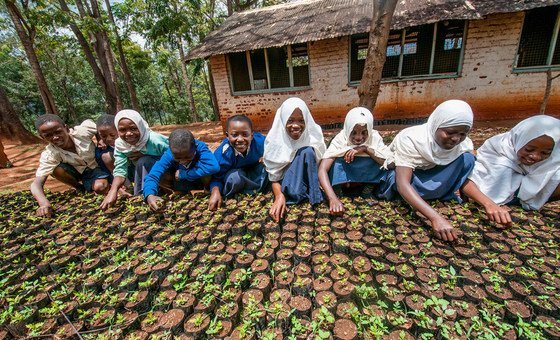 From diamonds to dirt: Sierra Leone youth bring land back to life thumbnail