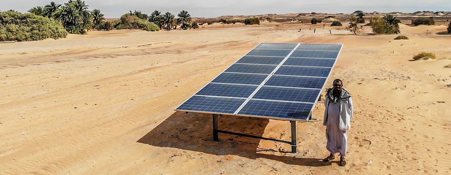 The availability of solar energy has enabled farmers in north Sudan to continue farming 