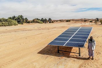 The availability of solar energy has enabled farmers in north Sudan to continue farming 