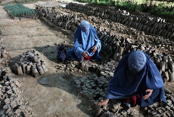 अफ़ग़ानिस्तान की राजधानी काबुल के बाहरी इलाक़े में, खेतों पर काम करते हुए महिलाएँ. (फ़ाइल)