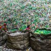 在孟加拉国达卡的一家工厂里，女工们正在整理塑料瓶，以便回收利用。