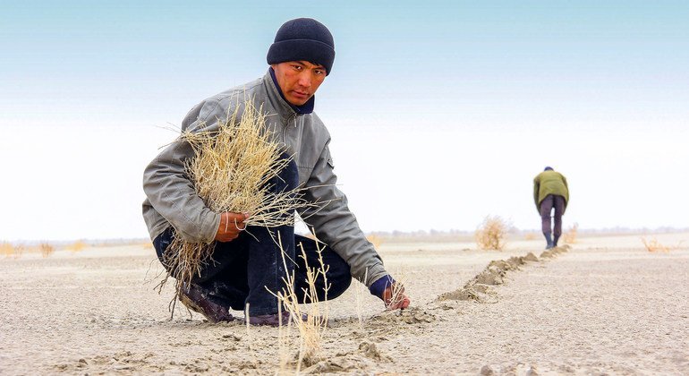 Засоленность почвы мешает фермерам Узбекистана повышать урожайность.