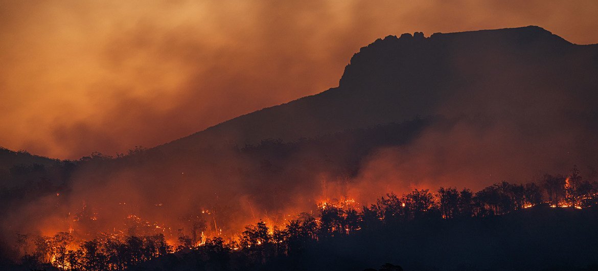 气候变化增加了炎热干燥天气的风险，从而可能助长野火。