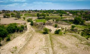 El proyecto también ha apoyado la restauración de zonas forestales degradadas mediante técnicas de forestación en seco en la localidad de Chakwal, en el estado de Punjab.