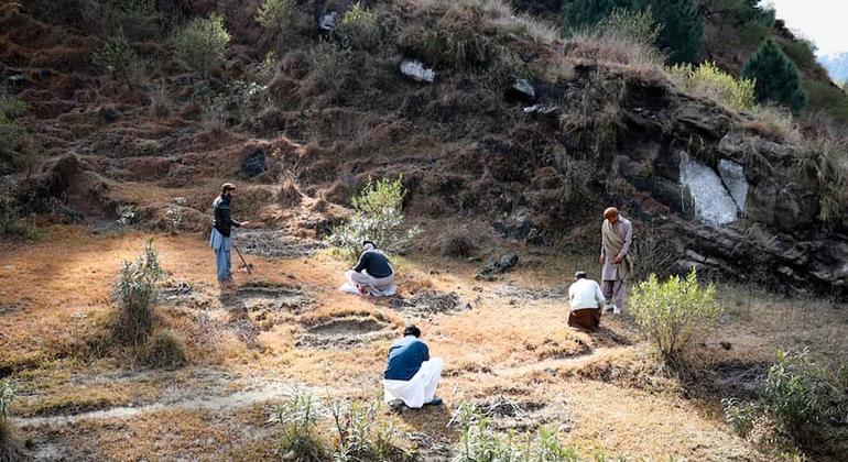 Reforestation activities take place in the forests of Punjab, Pakistan.