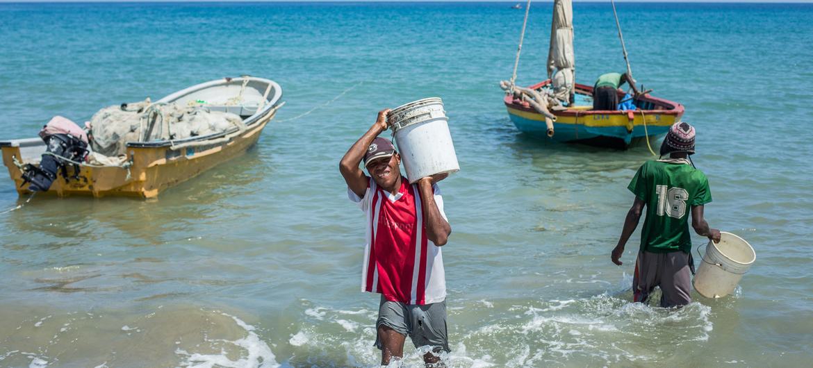 Pesca sustentável no Haiti. 