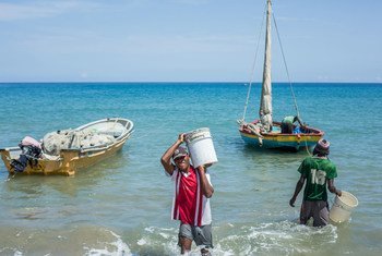 Pesca sustentável no Haiti. 