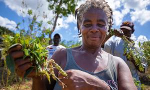 Des agriculteurs comme Germathes Charles dans le nord d'Haït peuvent à nouveau cultiver les terres après leur réhabilitation.