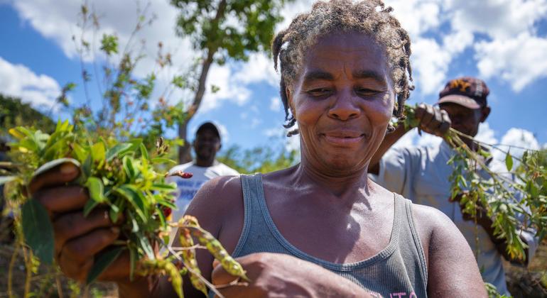 Des agriculteurs comme Germathes Charles dans le nord d'Haït peuvent à nouveau cultiver les terres après leur réhabilitation.