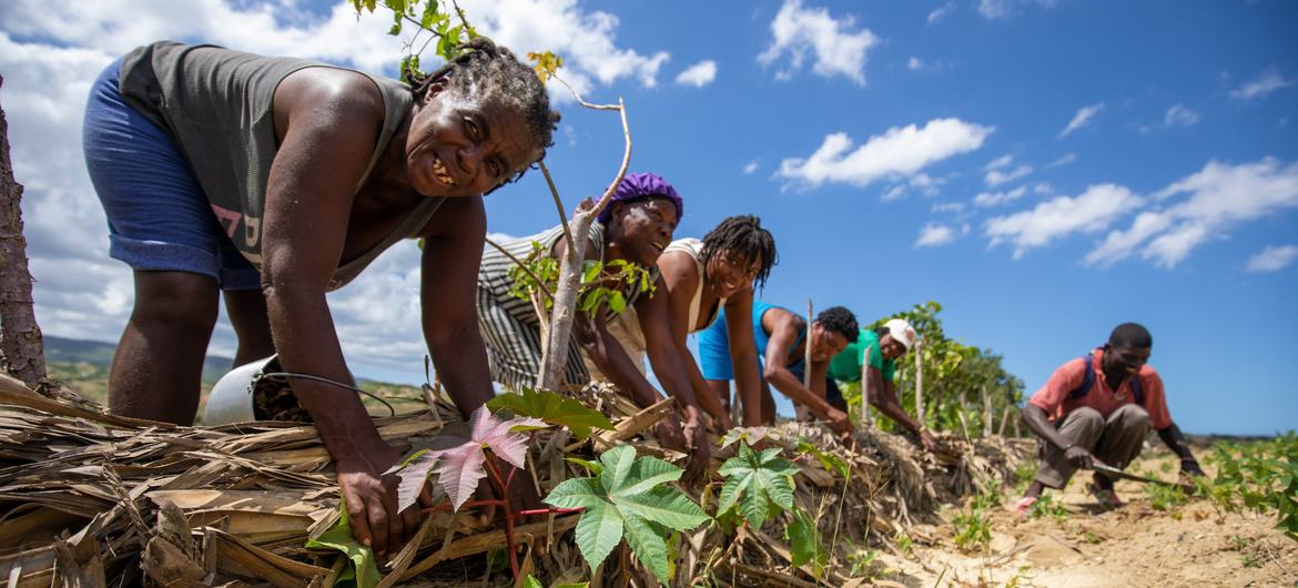 Farmers in the north of Haiti work on measures to prevent the erosion of their farmland.