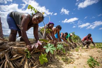 Farmers in the north of Haiti work on measures to prevent the erosion of their farmland.