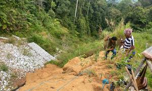 Orang Asli community members planting species selected to mitigate slope erosion.