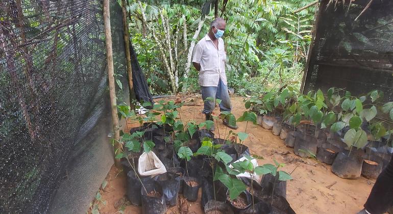 The nursery served as source and storage for plant saplings before planting at bio-engineering site.