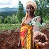 तंज़ानिया में भूमि क्षरण रोकने के लिये, पेड़ लगाए जा रहे हैं.