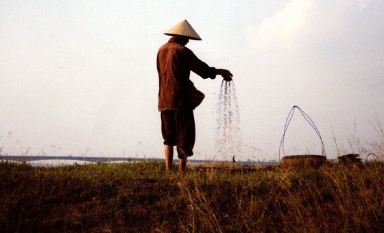 A farmer sows seeds in a field along Red River in northern Viet Nam.