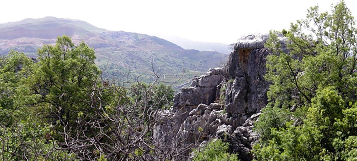 La réserve de biosphère de Jabal Moussal, au Liban.
