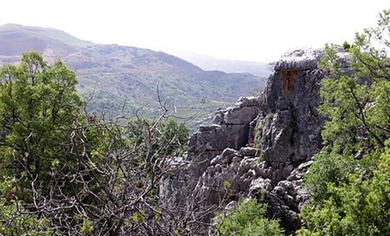 The Jabal Moussa Biosphere Reserve in Lebanon is a true mosaic of ecological systems.