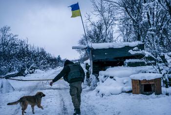 ARCHIVO: La posición militar ucraniana a lo largo de la línea de contacto que divide las zonas controladas por el gobierno y las no controladas en el este de Ucrania 