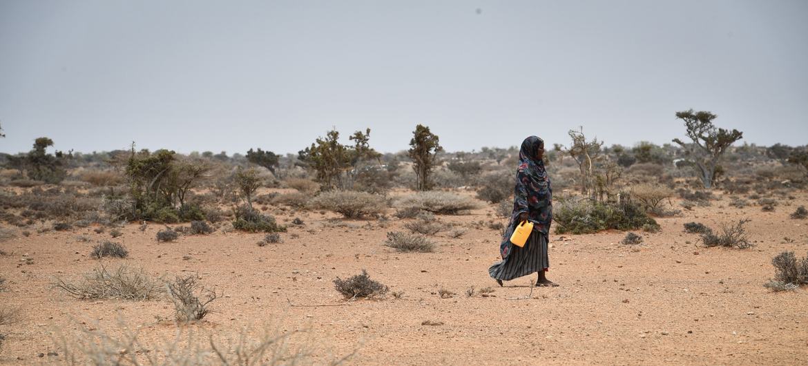 سيدة صومالية تتوجه إلى نقطة توزيع المياه بالشاحنات في قرية كوريسون، جالكايو، الصومال.