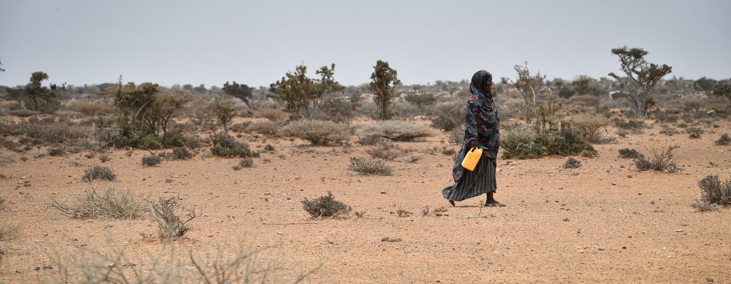 Une femme se rend à un point de livraison d'eau dans le village de Kureyson, en Somalie.