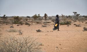 Une femme se rend à un point de livraison d'eau dans le village de Kureyson, en Somalie.