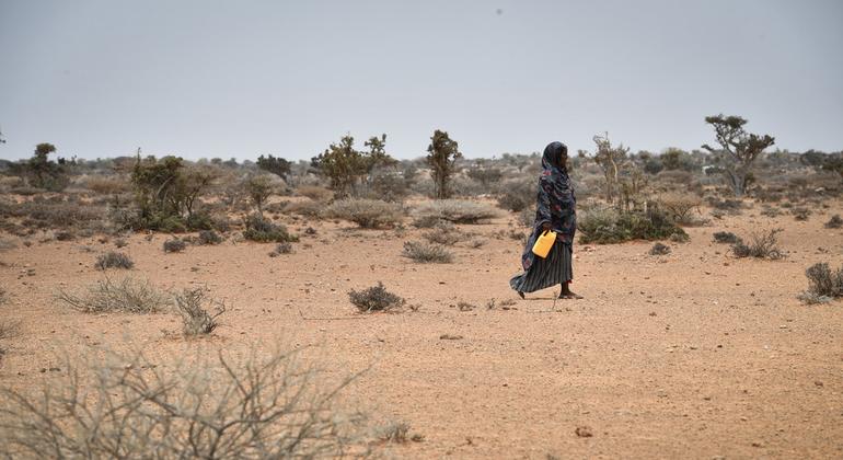 سيدة صومالية تتوجه إلى نقطة نقل المياه بالشاحنات في قرية كوريسون، جالكايو، الصومال.