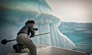在格陵兰海，一个渔民试图防止他的渔网被冰山拖挂。