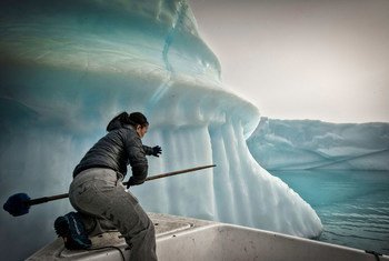 A fisherman tries to prevent his fishing net being dragged down by an iceberg in the Greenland sea.