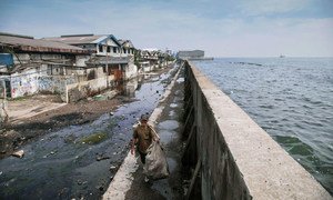 इण्डोनेशिया के जकार्ता में, एक व्यक्ति, समुद्र के निकट बनाई गई लम्बी दीवार पर चलते हुए.