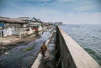 A man walks on a giant sea wall along the coast of Jakarta, Indonesia 