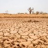 Senegal is one of six countries that has been affected by acute drought this year. 