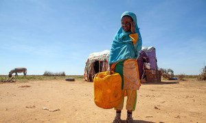 由于干旱肆虐索马里部分地区，该国今年估计会出现创纪录的流离失所人口。