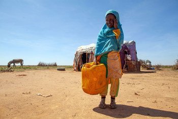 由于干旱肆虐索马里部分地区，该国今年估计会出现创纪录的流离失所人口。