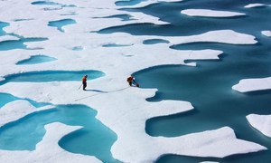 The loss of sea ice accelerates global warming and changes climate patterns.