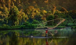 A man fishes in a forest lake in Indonesia.