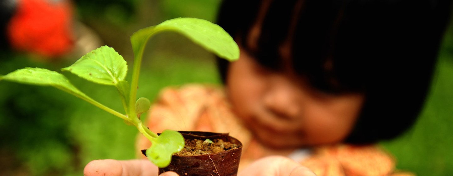 A young girl at a plant nursery in Indonesia.