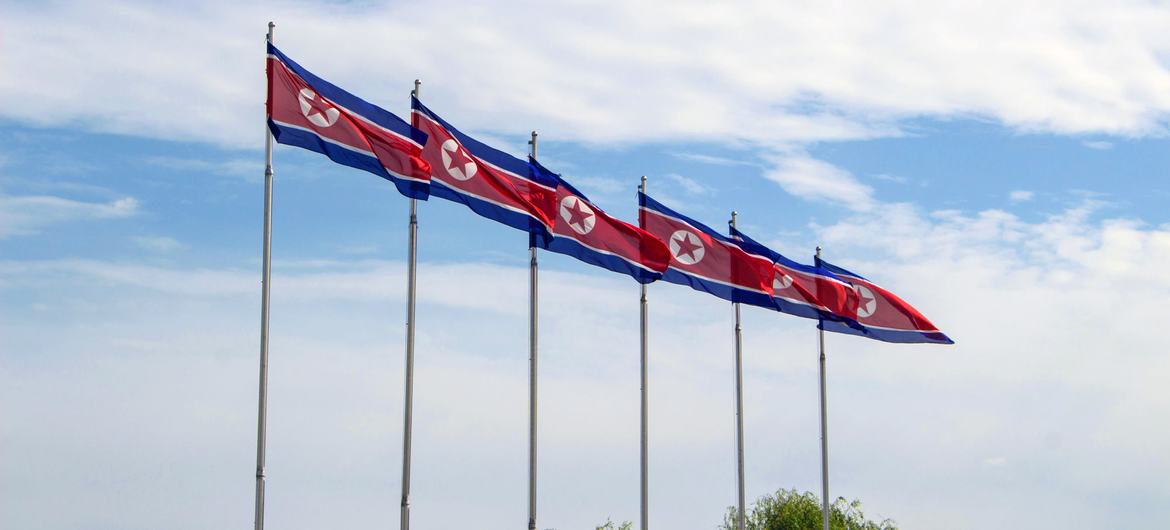 Flags of the Democratic People's Republic of Korea fly in Pyongyang.