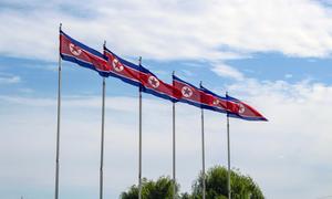 Flags of the Democratic People's Republic of Korea fly in Pyongyang.