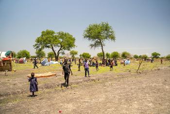 在苏丹发生动乱后，南苏丹难民正在返回家园。
