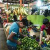 Este mercado en México vende verduras producidas por por los participantes en el Proyecto Estratégico de Seguridad Alimentaria de la FAO y la Secretaría de Agricultura, Ganadería, Desarrollo Rural, Pesca y Alimentación de México.