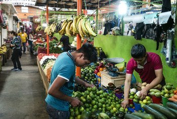 Dans des pays comme le Mexique, les marchés sont riches en produits frais de saison, cible principale de la mouche des fuits..