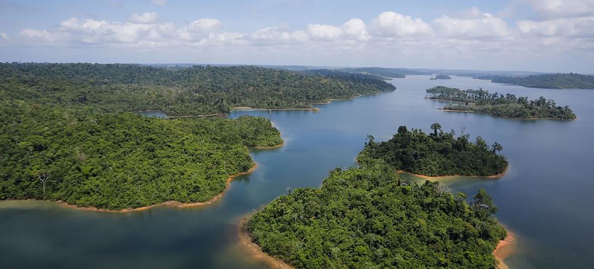 O novo estudo aborda a destruição da Amazônia, que traria consequências drásticas para diversos setores.