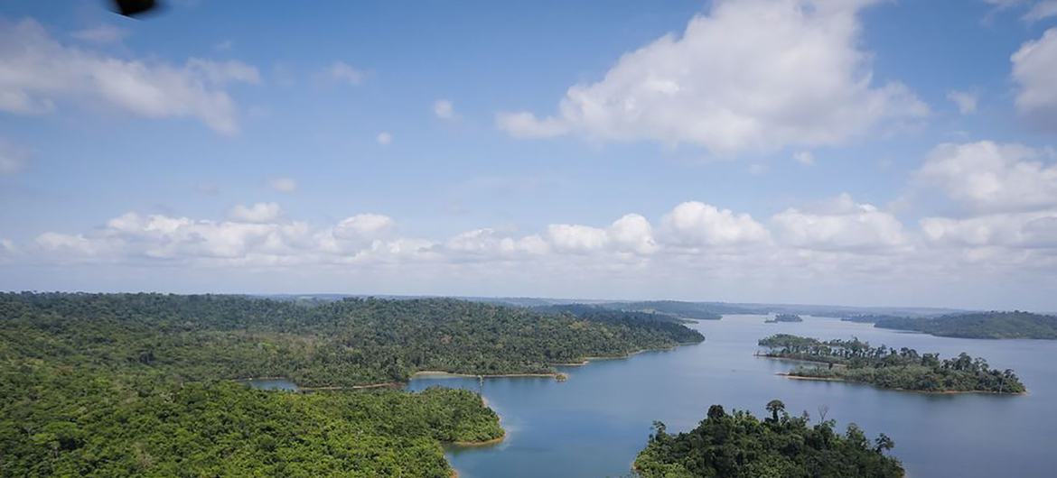 O novo estudo aborda a destruição da Amazônia, que traria consequências drásticas para diversos setores.