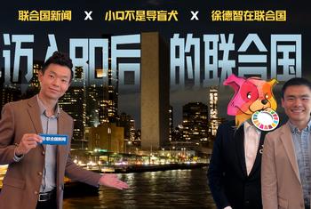 侃侃联合国