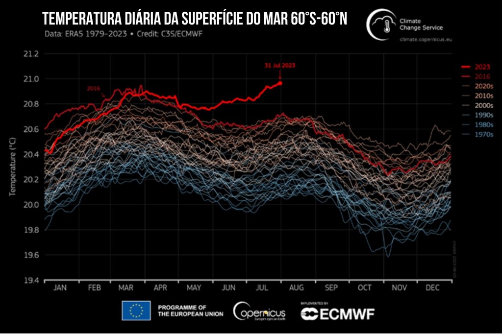 Temperatura global diária da superfície do mar (°C) com média no domínio 60°S–60°N plotada como uma série temporal para cada ano de 1º de janeiro de 1979 a 31 de julho de 2023. Os anos de 2023 e 2016 são mostrados com linhas grossas sombreadas em claro v…