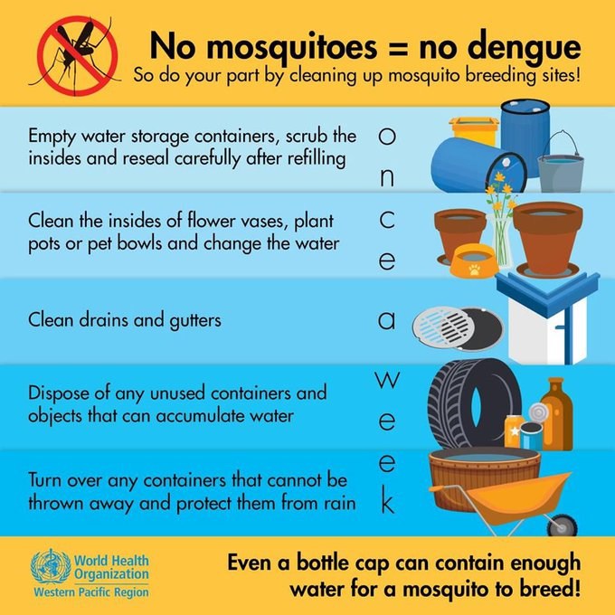 Controlling mosquito populations is an effective prevention against dengue.	